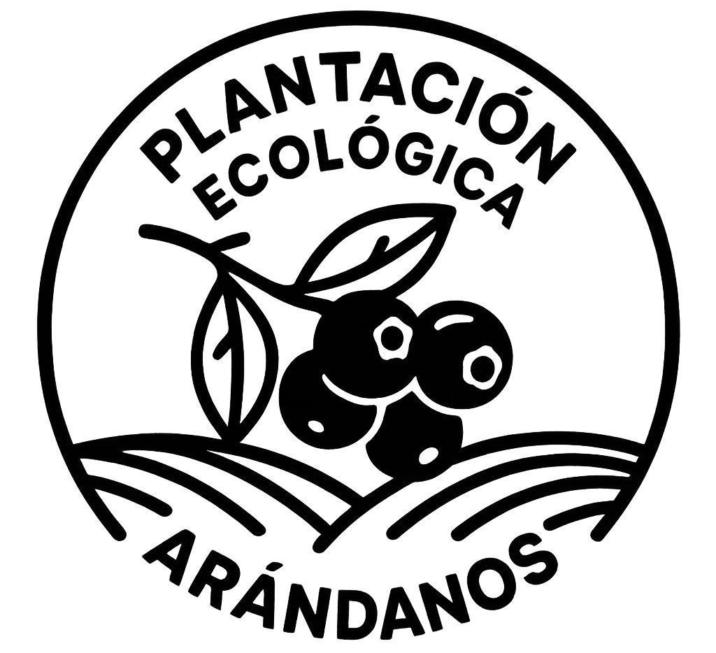 arandanos